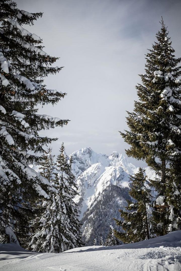 Zederberg Appartements Sankt Johann im Pongau Bagian luar foto
