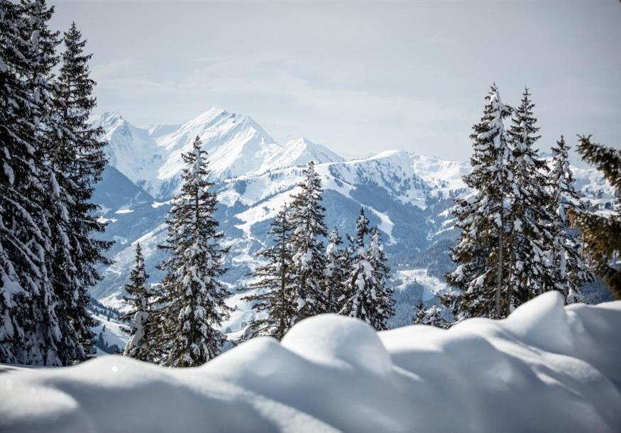 Zederberg Appartements Sankt Johann im Pongau Bagian luar foto