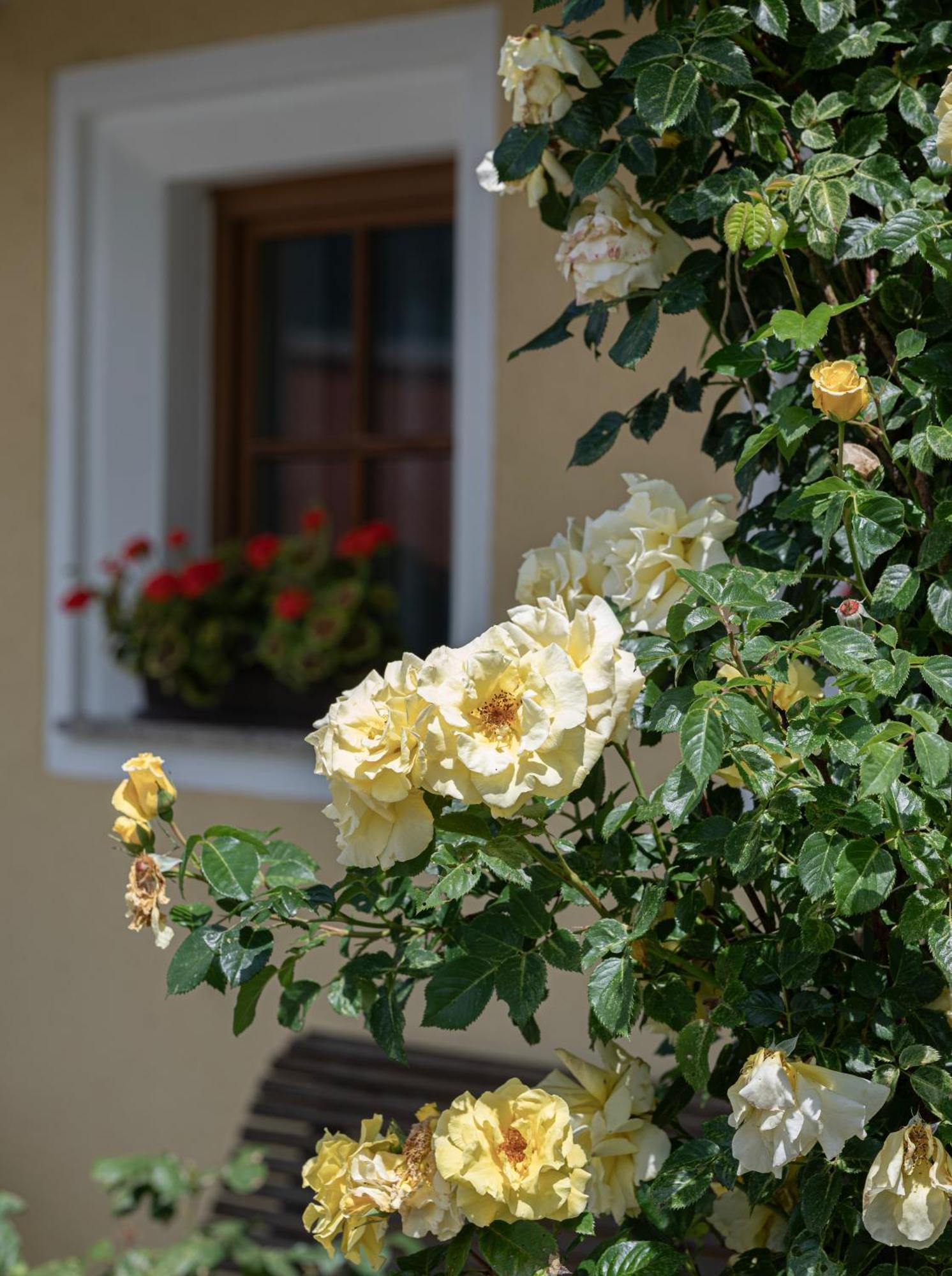 Zederberg Appartements Sankt Johann im Pongau Bagian luar foto
